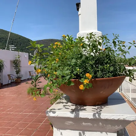 Molo35 * Ischia